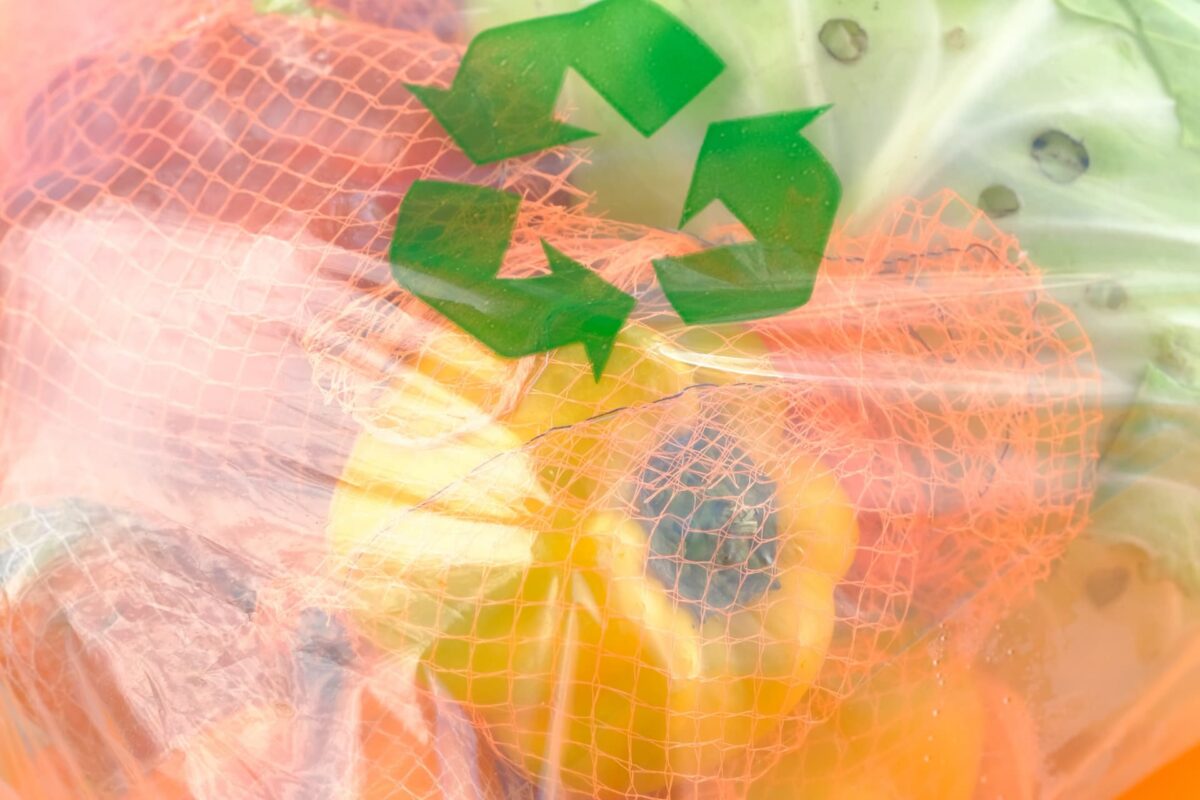 The Importance Of Reusable Bags In Our Daily Lives Eco Plastic Saviour